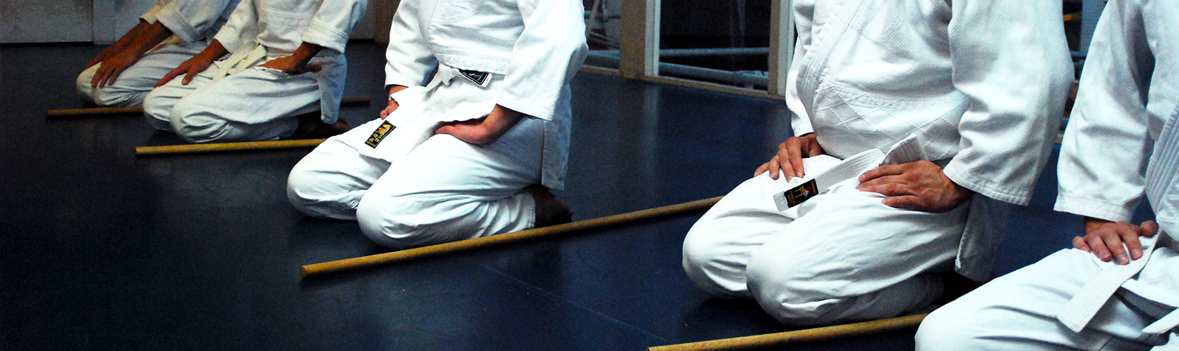 aikidobanner aikidobanner